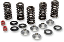 Valve Spring Kit For Yamaha WR 250 F 2001-2013