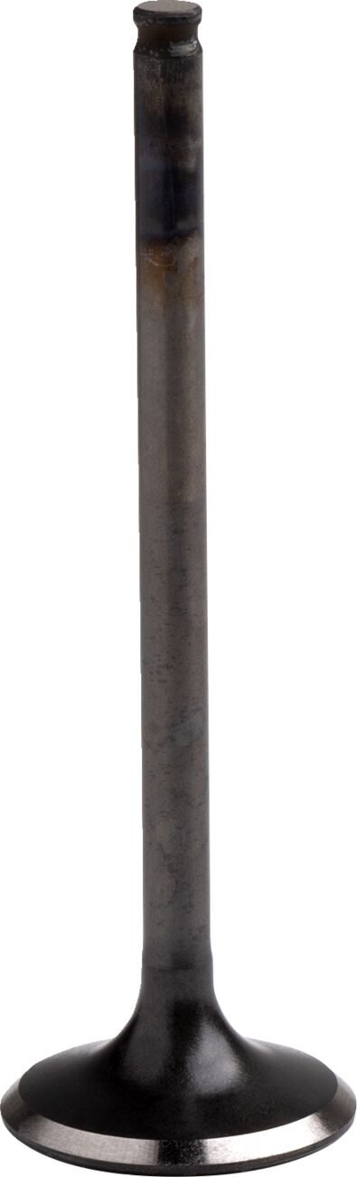 Engine Valve For Honda TRX 400 X