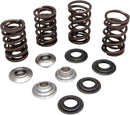 Lightweight Racing Valve Spring Kit For Suzuki LT-R 450 2X4 2006-2009