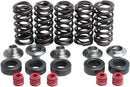 Valve Spring Kit For Yamaha WR 400 F 1998-2002