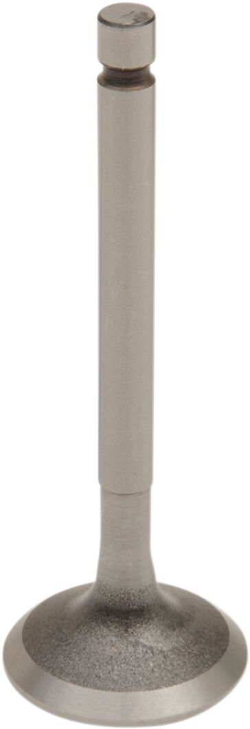 Engine Valve For Yamaha TT-R 125