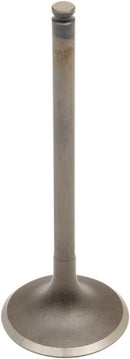 Engine Valve For Beta RR 450