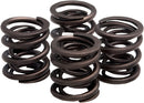 Valve Spring Kit For Harley Davidson XL 900 1957-1959