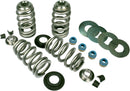 Endurance Beehive Valve Springs With Titanium Retainers | 09260851