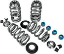 Endurance Beehive Valve Springs With Titanium Retainers | 09260852