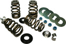 High Load Beehive Valve Springs | 09260853