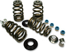 High Load Beehive Valve Springs | 09260854