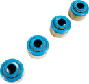 Viton Valve Guide Seals - 5/16 Inch | 09261168