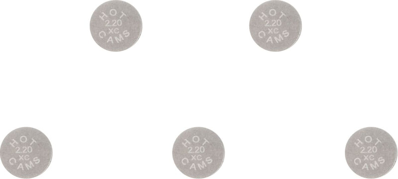 Replacement Valve Shims - 8.90 MM | 09261361