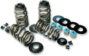 Econo Beehive Valve Spring Kit | 09261467