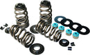 Econo Beehive Valve Spring Kit | 09261468