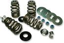 High Load Beehive Valve Springs | 09261469