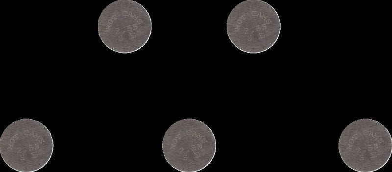 Replacement Valve Shims - 13.00 MM | 09262331