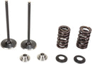 Intake Stainless Conversion Valve and Spring Kit For Honda CRF 450 R 2013-2016 - 3.095 Inch