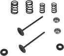 Intake Stainless Conversion Valve and Spring Kit For KTM EXC 250 2008-2013 - 3.910 Inch