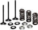 Intake Stainless Conversion Valve and Spring Kit For Yamaha WR 250 F 2001-2013 - 3.150 Inch