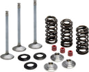 Intake Stainless Conversion Valve and Spring Kit For Yamaha WR 450 F 2003-2015 - 0.1765 Inch