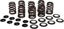 Beehive Valve Spring Kit For Harley Davidson FLHR 1750  2019