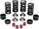 Valve Spring Kit For Honda CRF 250 R 2016-2017