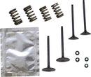 Valve Kit For Yamaha WR 250 F