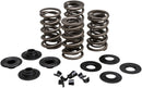 Racing Valve Spring Kit For Harley Davidson FLHR 1450 1999-2004