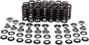 Valve Spring Kit For Yamaha YZF-R1 1000 2004-2006