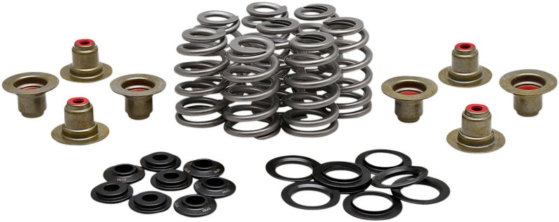 Beehive Valve Spring Kit For Harley Davidson FLDE 1750 ABS 2018-2020