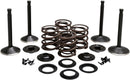 Engine Valve Kit For Harley Davidson E 1000 1936-1947