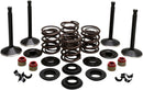 Engine Valve Kit For Harley Davidson FL 1200 1970-1977