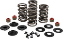 Racing Valve Spring Kit For Harley Davidson FLD 1690 ABS 2012-2016