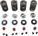 Racing Valve Spring Kit For Harley Davidson XR 1200 2008-2010