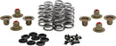Beehive Valve Spring Kit