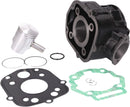 Cylinder Kit 50ccPiaggio / Derbi D50B0
