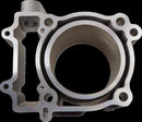 Replacement Cylinder Grey For Polaris ACE 570 4X4 2018-2019 - Standard