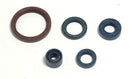 Engine Oil Seal For Husqvarna TC 250