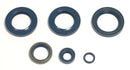 Engine Oil Seal For KTM EGS 400 LC4