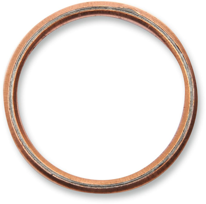 Exhaust Gasket Kit For Kawasaki KLX 300 2021