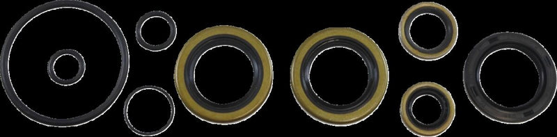 Oil Seal Kit For Kawasaki KDX 175 1980-1982