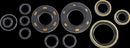Oil Seal Kit For Kawasaki KDX 250 1980-1981