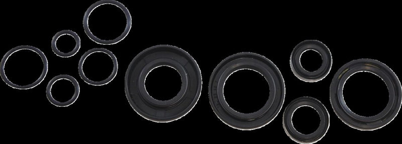 Oil Seal Kit For Kawasaki KX 125 A 1978-1979