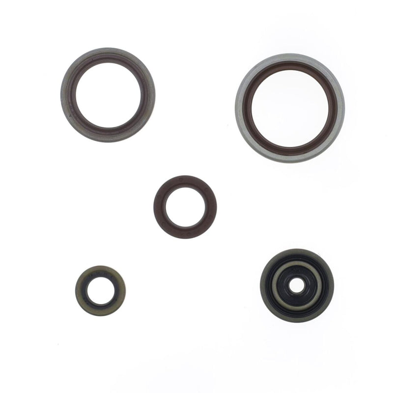 Engine Oil Seal For Beta RR 250