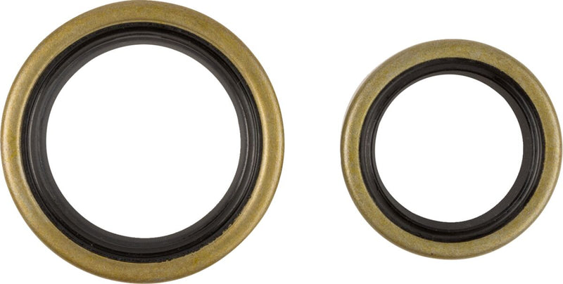 Crankshaft Oil Seal Kit For GasGas MC 125