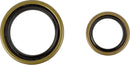 Crankshaft Oil Seal Kit For Beta RR 250