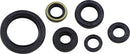 Oil Seal Kit For Kawasaki KLX 250 2018-2019