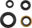 Oil Seal Set For Suzuki DR 350 SE 1994-1999