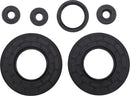 Engine Oil Seal Kit For Lynx (BRP) GT 670 HC