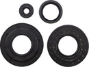 Engine Oil Seal Kit For Lynx (BRP) GT 500
