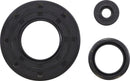 Engine Oil Seal Kit For Lynx (BRP) Expedition 600 HO TUV SDI