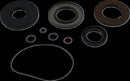 Transaxle Seal Kit | 09351286