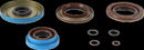 Transaxle Seal Kit | 09351288